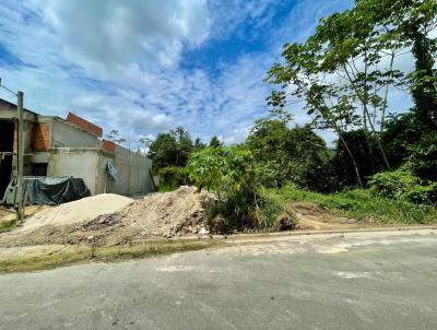 Lote para Venda, em Manaus, bairro Tarum
