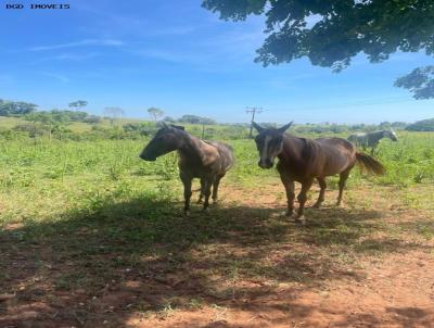 Stio para Venda, em Martinpolis, bairro 1,7 alqueires, 2 dormitrios