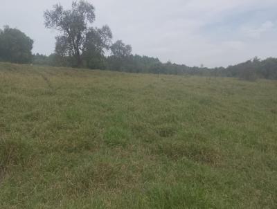 Terreno para Venda, em Assis, bairro PRXIMO AO JARDIM REZENDE