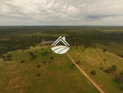 Fazenda para Venda, em Ponte Alta do Tocantins, bairro rea rural com expanso consolidada