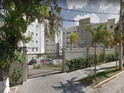 imagem-miniatura