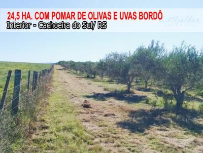 Fazenda para Venda, em Cachoeira do Sul, bairro Interior