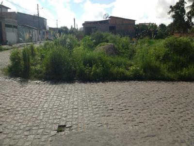 Terreno para Venda, em Feira de Santana, bairro PARQUE IP
