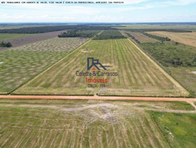 Stio para Venda, em Pimenteiras do Oeste, bairro Zona Rural