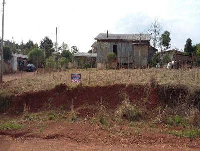 Terreno para Venda, em Ronda Alta, bairro SANTA BRBARA
