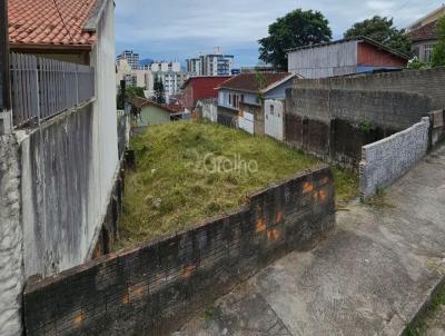 imagem-miniatura