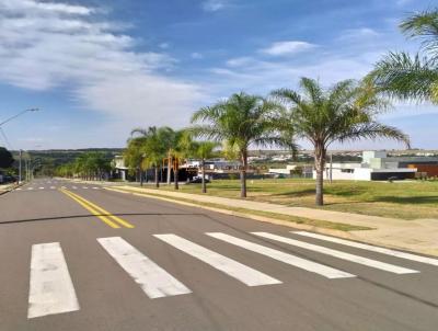 Terreno para Venda, em , bairro Tambor