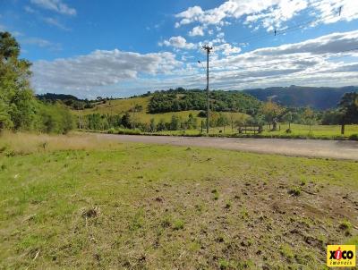 Terreno para Venda, em Nova Petrpolis, bairro Linha Imperial