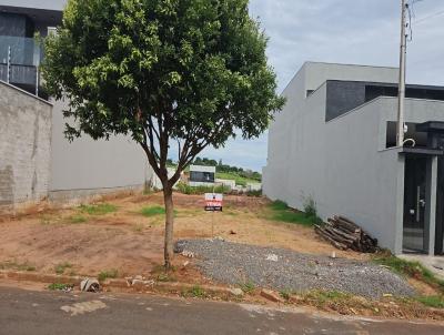 imagem-miniatura