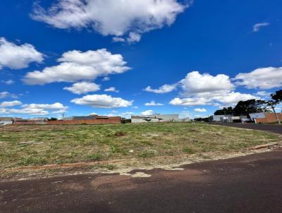 Terreno para Venda, em Campo Grande, bairro Jardim Presidente