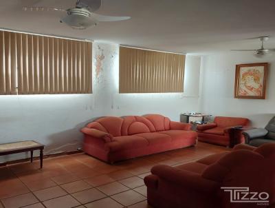 imagem-miniatura