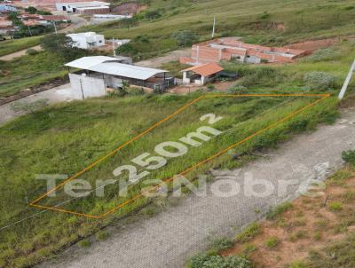 Lote para Venda, em , bairro Novo Horizonte