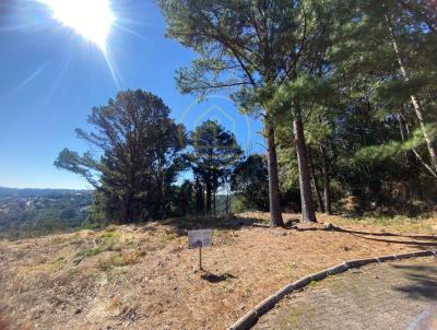 Terreno para Venda, em Gramado, bairro Vale das Colinas