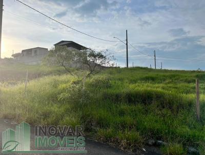Lote para Venda, em Barbacena, bairro Monte M�rio