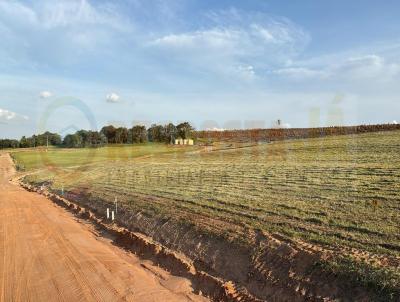 Terreno para Venda, em Anhembi, bairro 