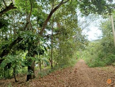 Chácara para Venda, em Caldas Novas, bairro Portal das Águas Quentes, 2 dormitórios, 2 banheiros