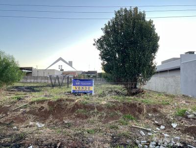 Terreno para Venda, em Guarapuava, bairro So Cristvo
