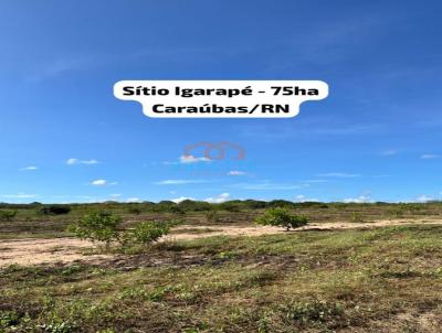 Stio para Venda, em Carabas, bairro .
