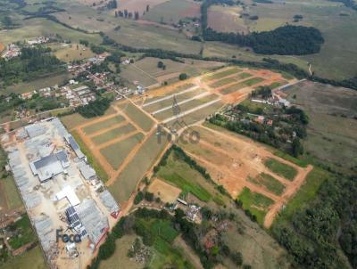 Loteamento para Venda, em , bairro Cajuru