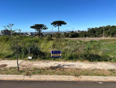 Terreno para Venda, em Guarapuava, bairro Bairru das Cerejeiras
