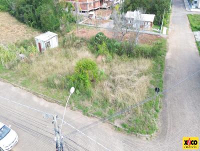 imagem-miniatura