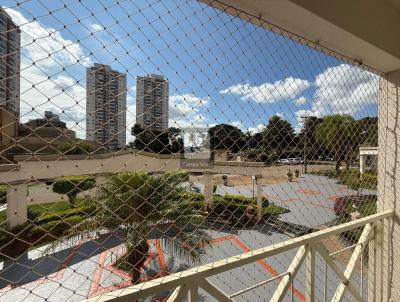imagem-miniatura