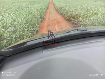Fazenda para Venda, em Iretama, bairro Área Rural