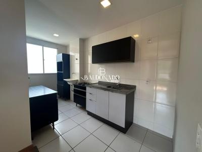 imagem-miniatura