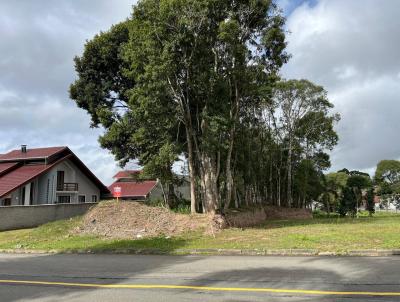 Terreno para Venda, em São Bento do Sul, bairro Progresso