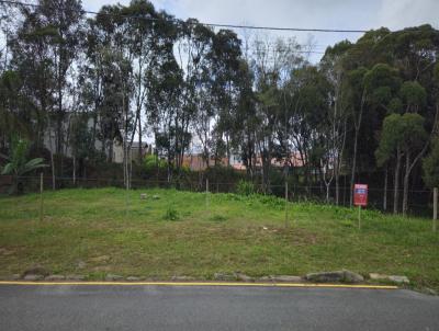 Terreno para Venda, em São Bento do Sul, bairro Progresso