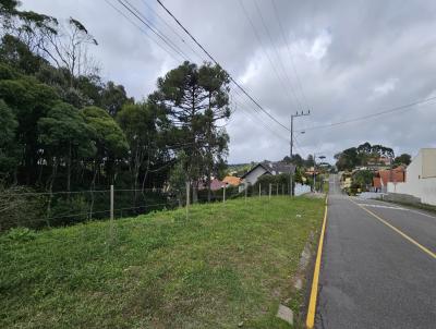 Terreno para Venda, em S�o Bento do Sul, bairro Progresso