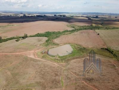 Fazenda para Venda, em , bairro a