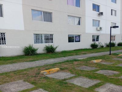 imagem-miniatura