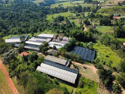 Stio para Venda, em Itu, bairro , 10 dormitrios, 4 banheiros