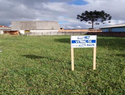 Terreno para Venda, em União da Vitória, bairro São Braz
