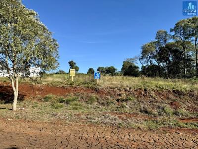 Terreno Residencial para Venda, em Erechim, bairro Presidente Castelo Branco