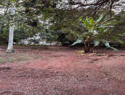 Terreno para Venda, em São Carlos, bairro Jardim São Carlos