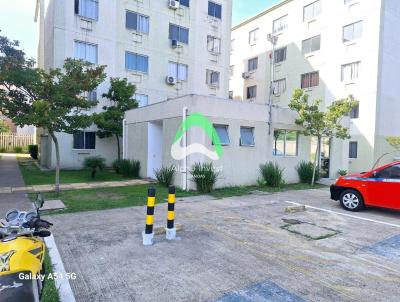 imagem-miniatura