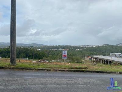 Terreno Residencial para Venda, em São José, bairro Forquilhas