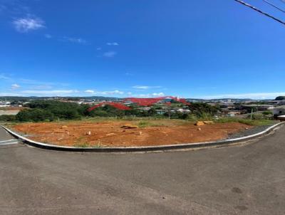 imagem-miniatura