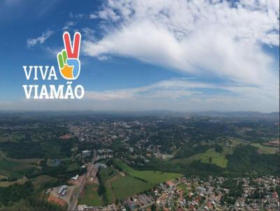Terreno para Venda, em Viamo, bairro Tarum