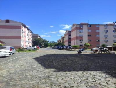imagem-miniatura