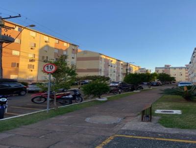 imagem-miniatura