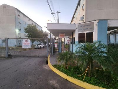 imagem-miniatura