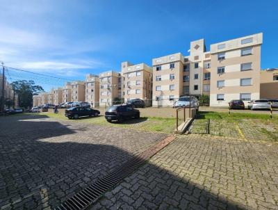 imagem-miniatura