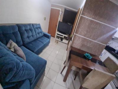 imagem-miniatura