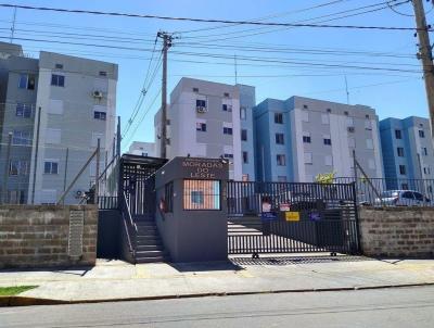 imagem-miniatura