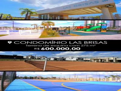 imagem-miniatura