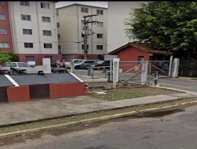 imagem-miniatura