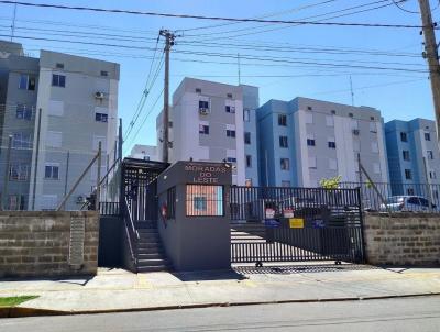imagem-miniatura